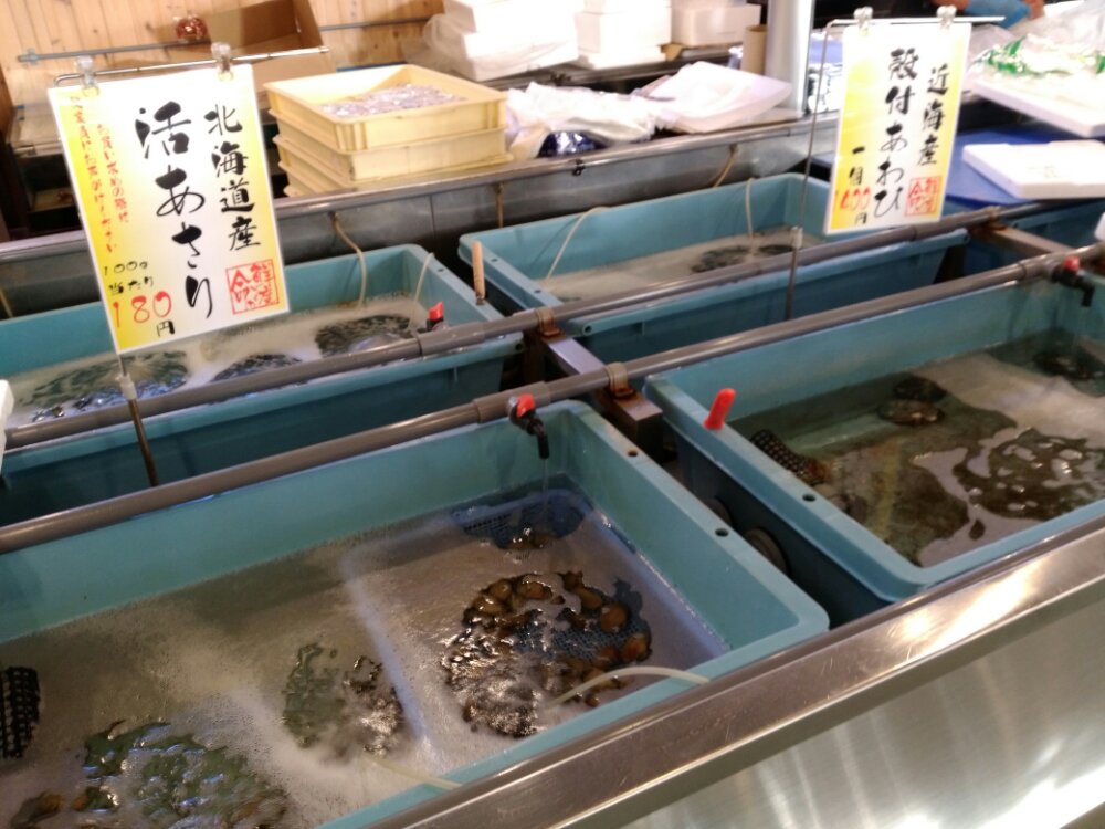 松島さかな市場の魚介