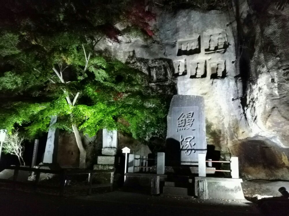 瑞巌寺の鰻塚ライトアップ